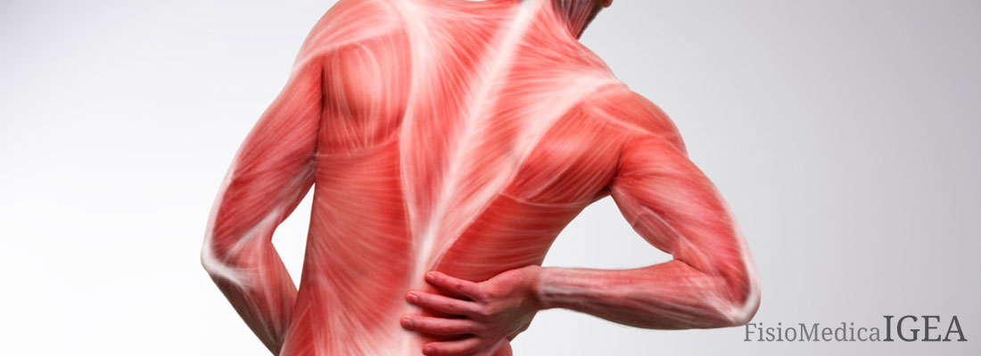 Contrattura muscolare non si intende altro che la contrazione continua ed involontaria di un muscolo scheletrico, associata a dolore, rigidità ed ipertono locale.