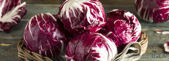 Radicchio: proprietà, benefici e valori nutrizionali di un alleato per la salute.